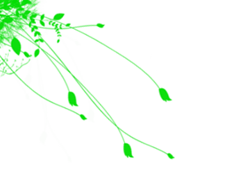 Plant Graphic